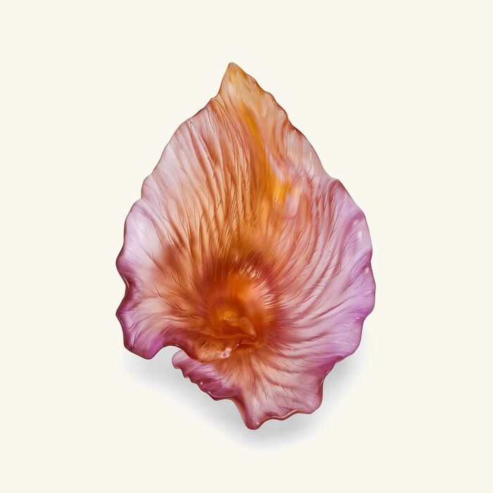 medium