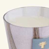 baobab collection woods broceliande candle max 10