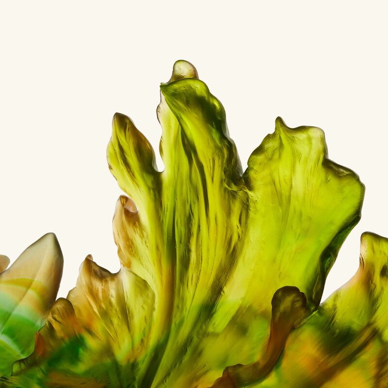 Borneo Magnum Centerpiece Green daum borneo magnum centerpiece green
