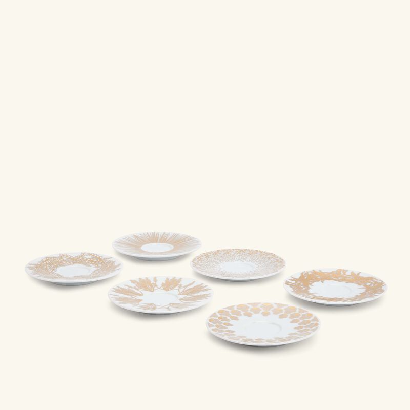 طقم تمرة بالتعاون مع رزان العزوني المؤلف من 6 فناجين عربية للشاي مع صحونها باللون الذهبي صلصال طقم تمرة بالتعاون مع رزان العزوني المؤلف من 6 فناجين عربية للشاي مع صحونها باللون الذهبي