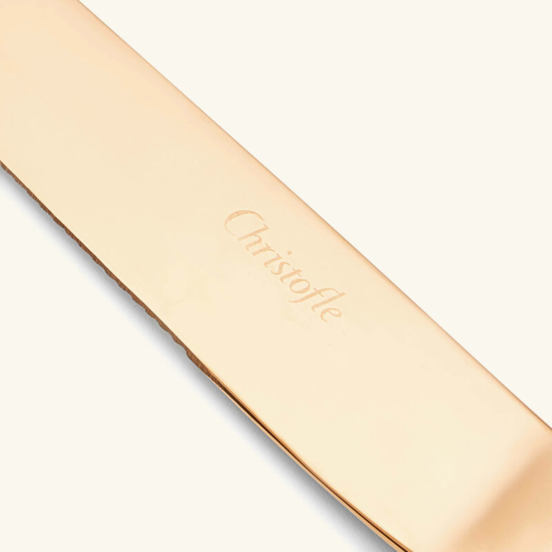 L' Ame De Christofle Steak Knife Pink l ame de christofle steak knife pink