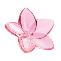 The Bloom Collection The Bloom Collection, small