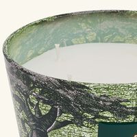 baobab collection sacred trees touba candle max 10