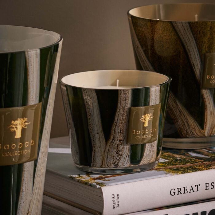 baobab collection woods sherwood candle max 10