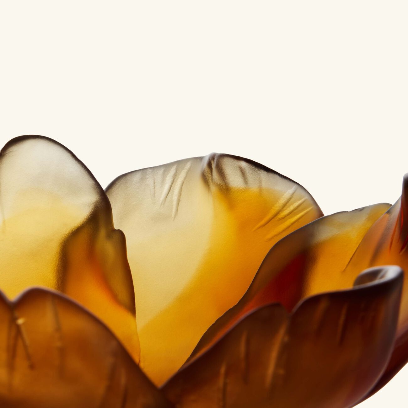 daum tulip centerpiece yellow