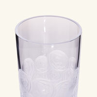 ruckl heroine roses tall drinking glass clear
