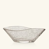 طقم مؤلف من وعائي "ثلث" للضيافة بتصميم شفاف دملاج طقم مؤلف من وعائي ثلث للضيافة بتصميم شفاف