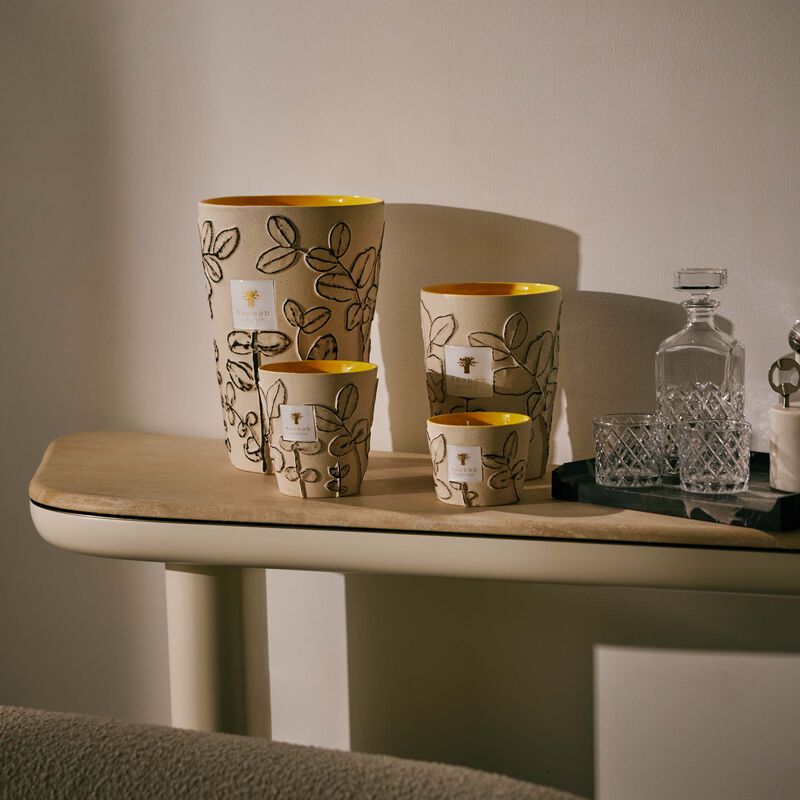 baobab collection folia calanque candle max 16