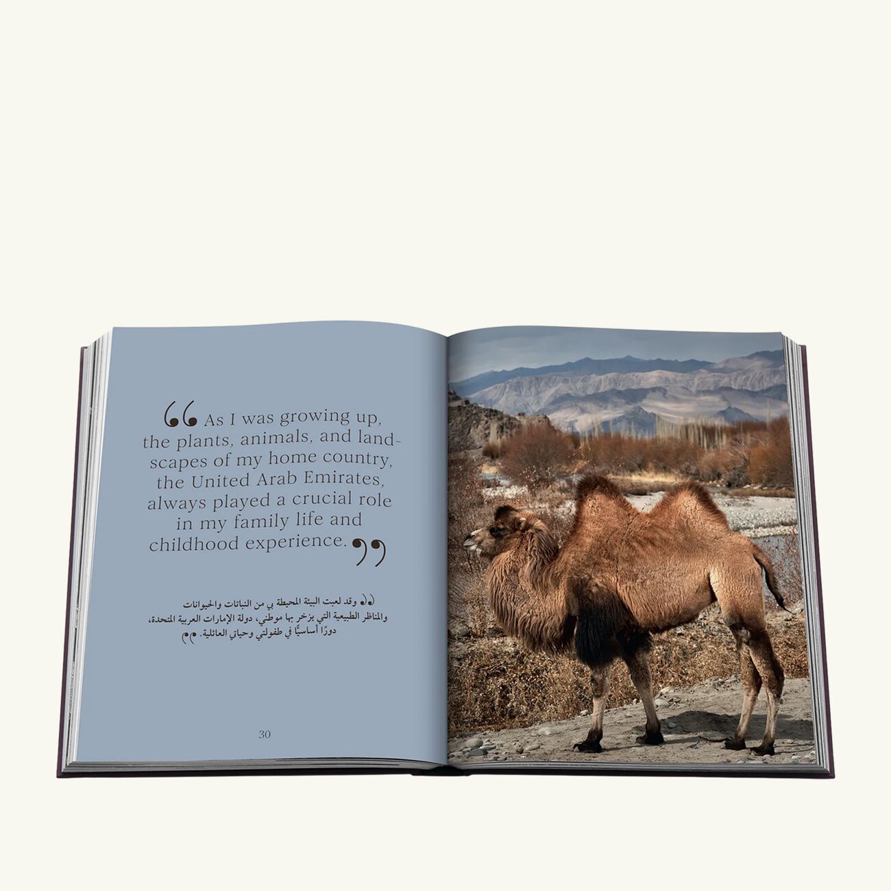 كتاب أود تو آ كامِل (إنجليزي وعربي) - 36 × 28 سم آسولين كتاب أود تو آ كامِل إنجليزي وعربي 36 28 سم