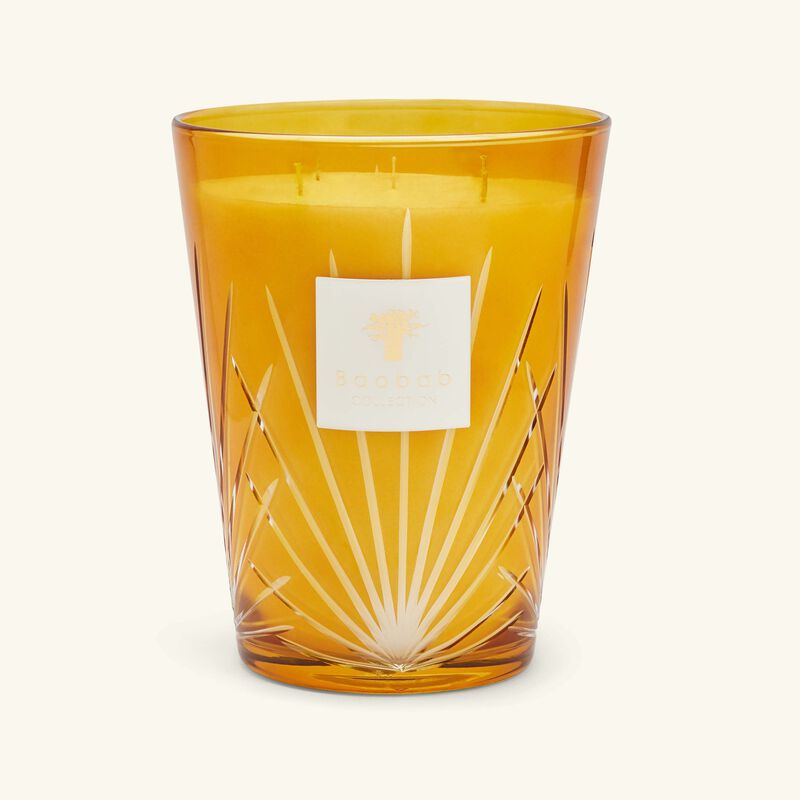 baobab collection palma candle max 24