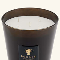 baobab collection encre de chine candle max 24