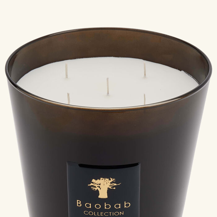 baobab collection encre de chine candle max 24