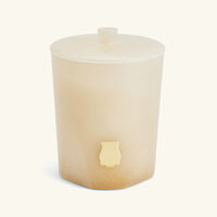 trudon hemera candle 270g