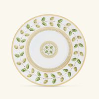 bernardaud constance tea cup saucer green