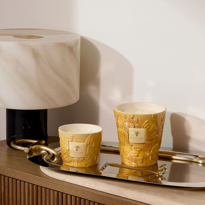 baobab collection dove candles max 16