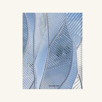 assouline louis vuitton skin architecture of luxury beijing edition book 39x30cm