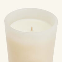 trudon hemera candle 270g