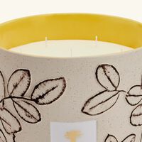 Folia Calanque Candle Max 35 baobab collection folia calanque candle max 35