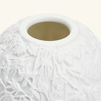 برناردو مصباح ليثوفاني بورنيو