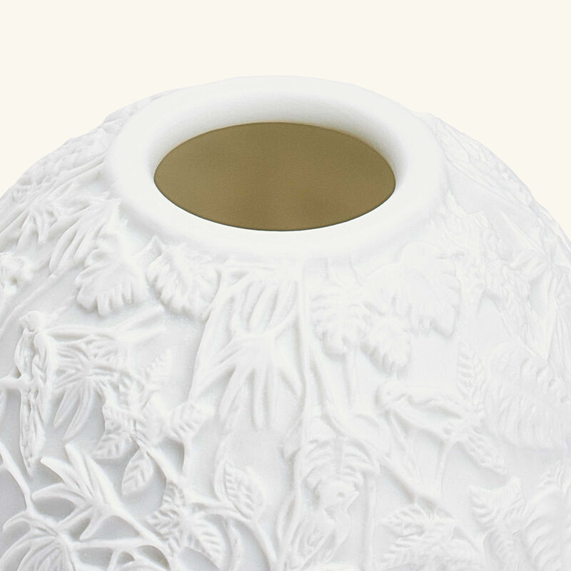 برناردو مصباح ليثوفاني بورنيو