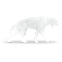 Wild White Panther Wild White Panther, small