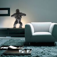 White Wild Kong White Wild Kong, small