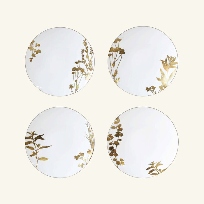 bernardaud v g tal or dinner plate round gold 26cm set of 4