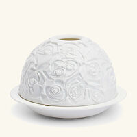 برناردو مصباح ليثوفاني روز