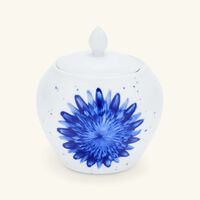 bernardaud in bloom salad plate round blue 21cm set of 6