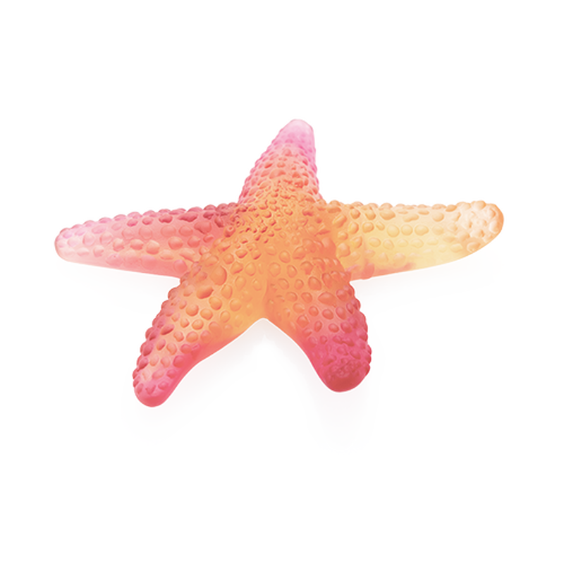 Amber Red Starfish Mer De Corail, large