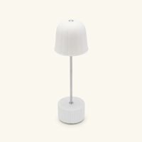 bernardaud campanule cordouan lamp
