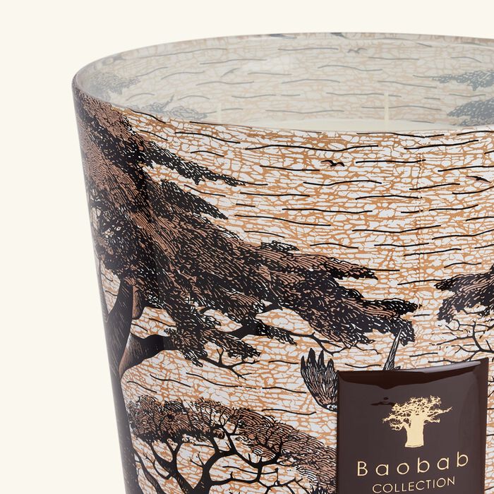 baobab collection sacred trees mankono candle max 35