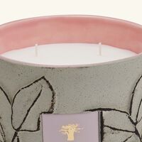 شمعة فوليا ماكي ماكس 16 باوباب شمعة فوليا ماكي ماكس 16