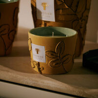 Folia Garrigue Candle Max 10 baobab collection folia garrigue candle max 10