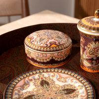 إيترو صندوق المجوهرات ثيسل باللون الوردي