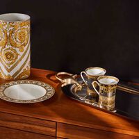 مزهرية ميدوزا رابسودي متوسطة بيضاء فيرساتشي مزهرية ميدوزا رابسودي متوسطة بيضاء