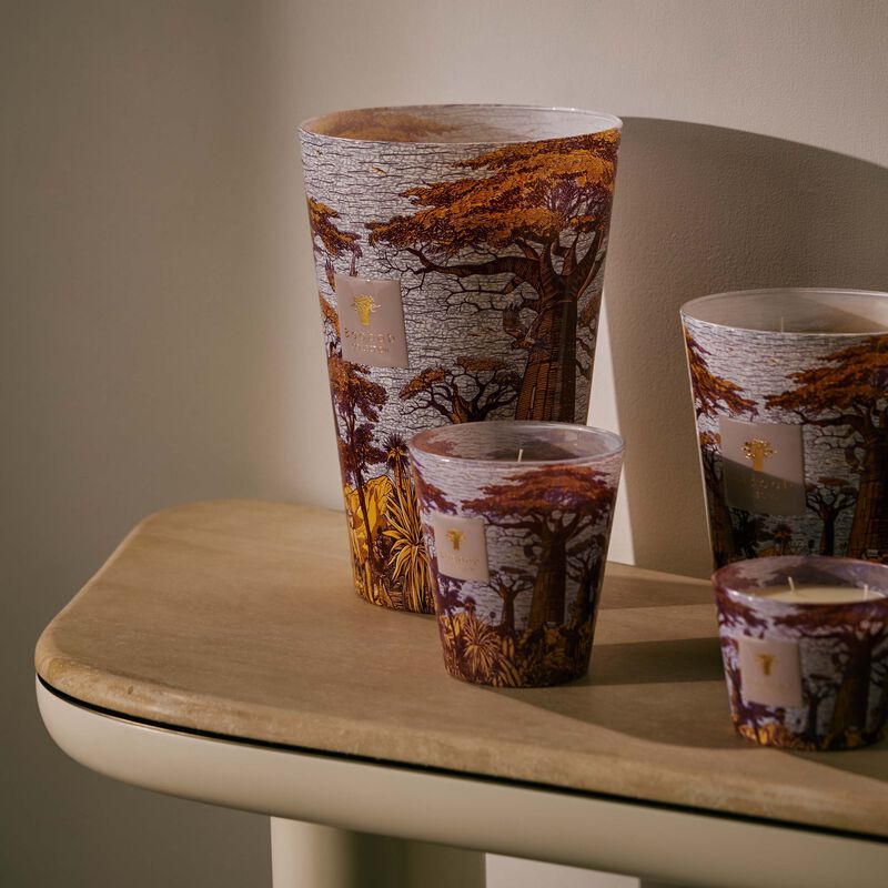 baobab collection sacred trees massasso candle max 35