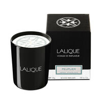 Poplar Aspen Candle Poplar Aspen Candle, small
