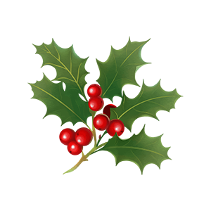 موسم الاحتفالات